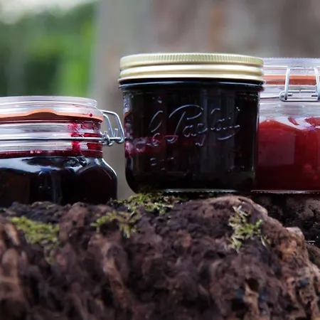 Bed & Breakfast Chateau De L Aviette - Rancennes