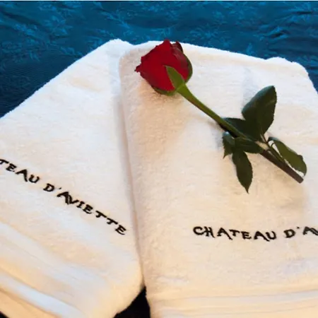 Chateau De L Aviette - Rancennes 3*