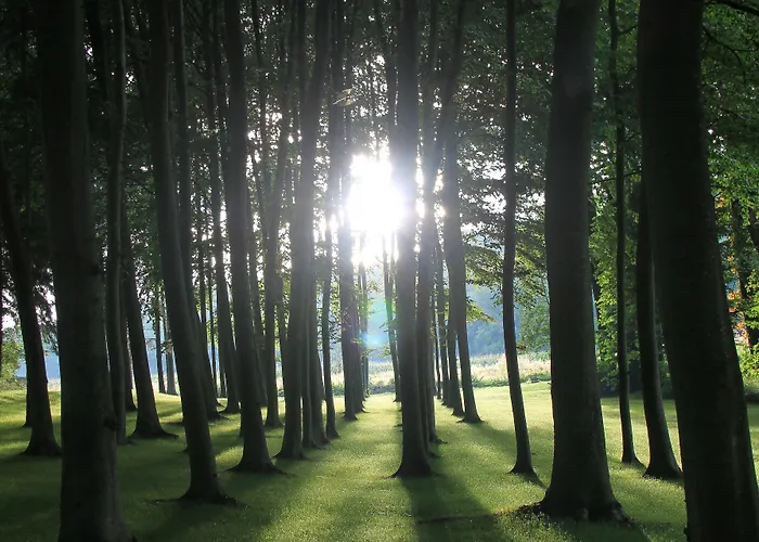 Chateau De L Aviette - Rancennes ジヴェ