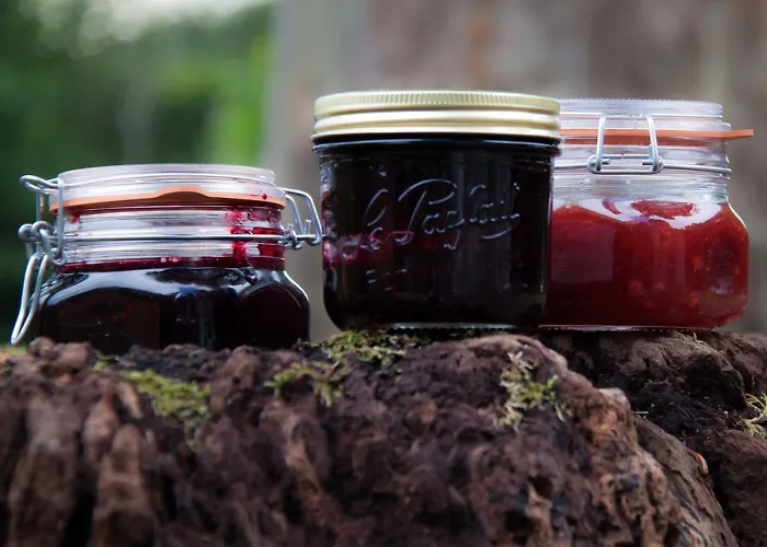 ベッド・アンド・ブレックファスト Chateau De L Aviette - Rancennes